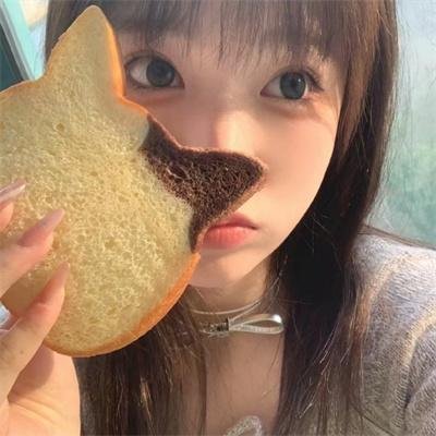 霸王龙:进化之旅