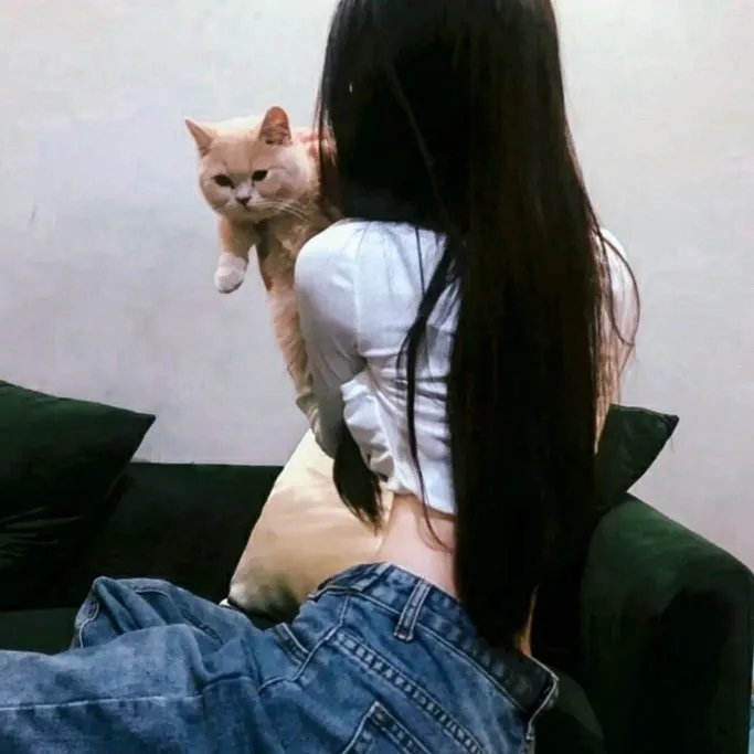 画舫风云粤语