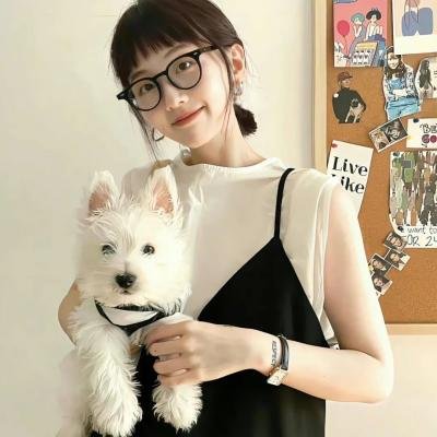 惠美李艺彩派